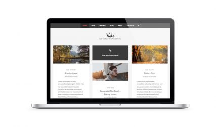 ValePro desktop version